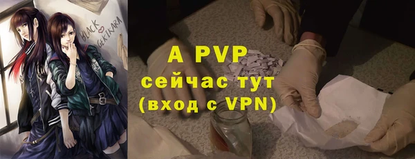 apvp Богданович